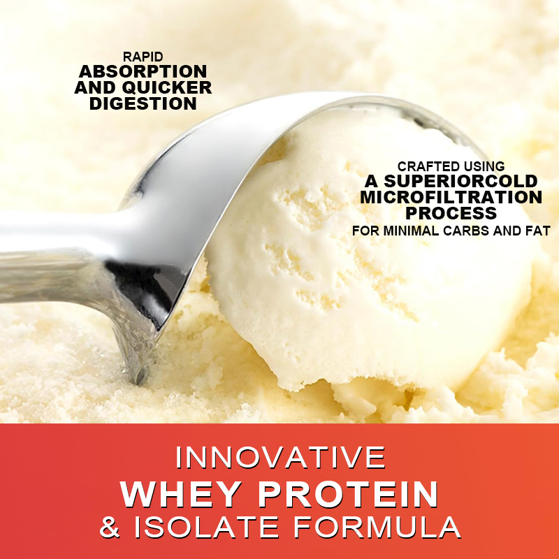 Proteína de Suero Gold Standar - Fitness Nutrition Whey reseña y precio